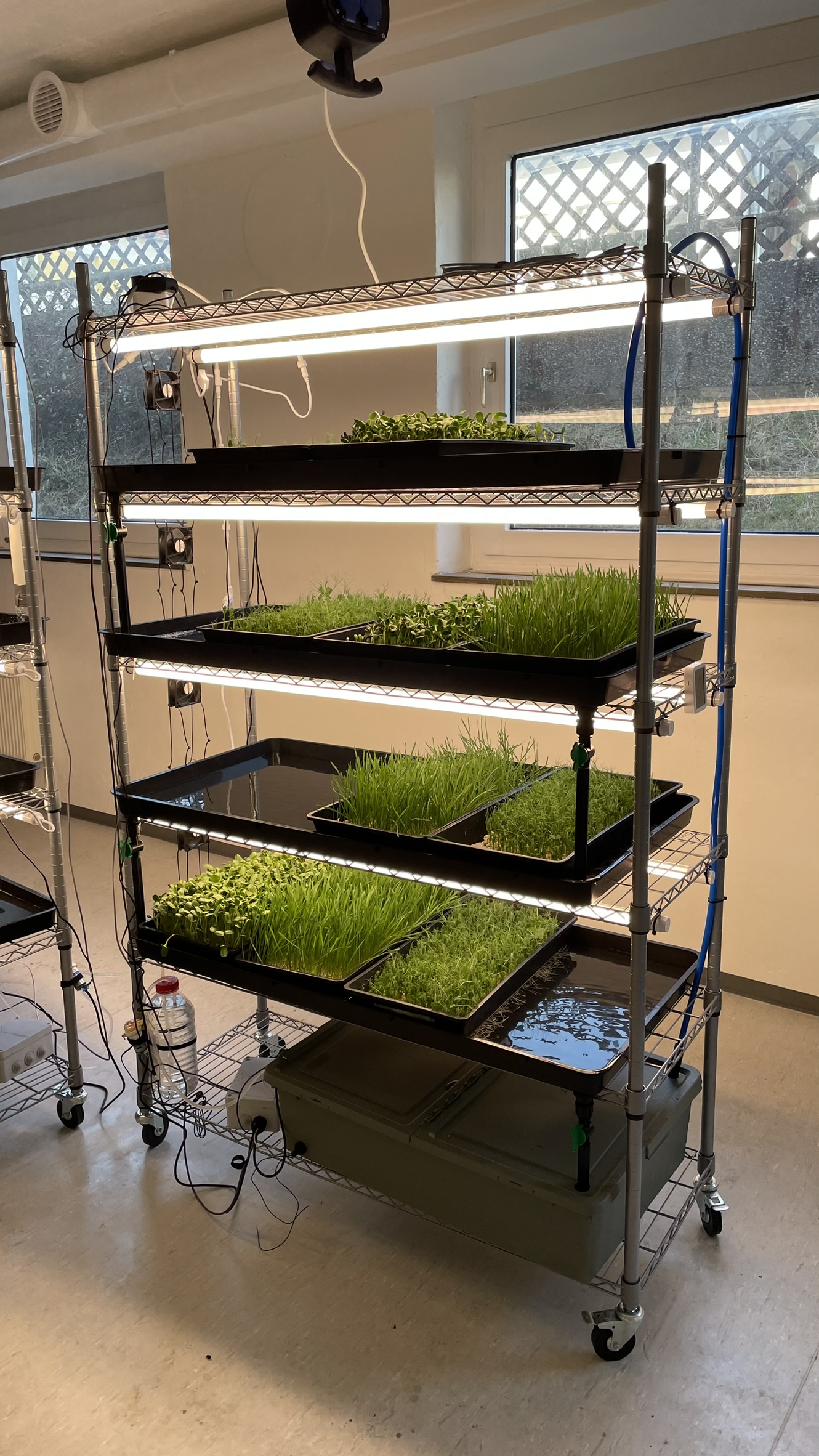 Skyroots GmbH — IoT Monitoring für Vertical Farming